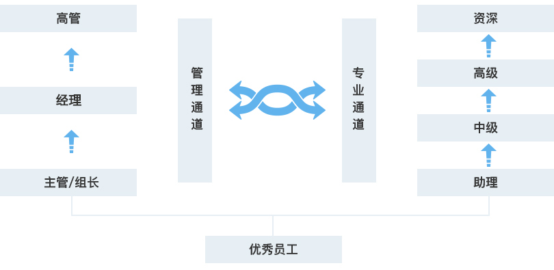 澳门精准铁算算盘论坛